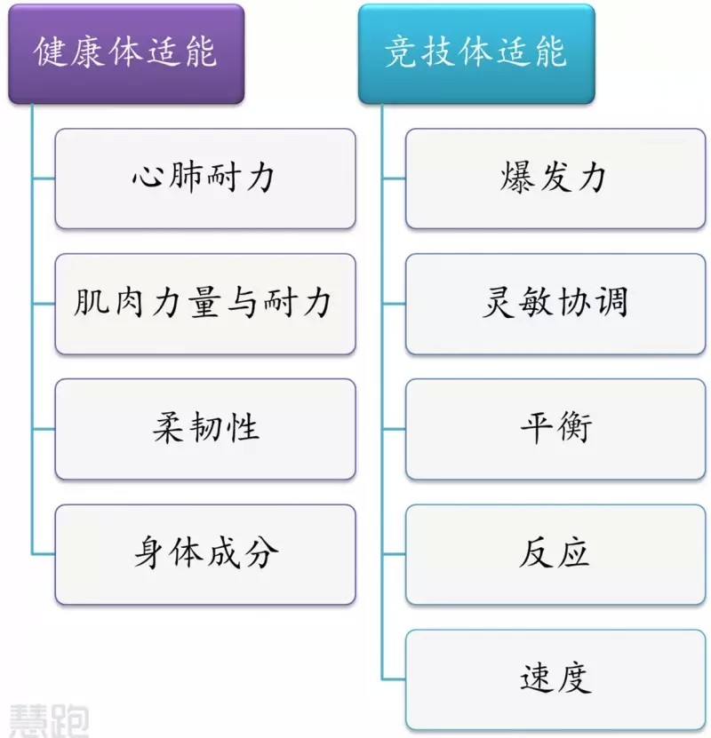 体能训练篮球专业术语_2